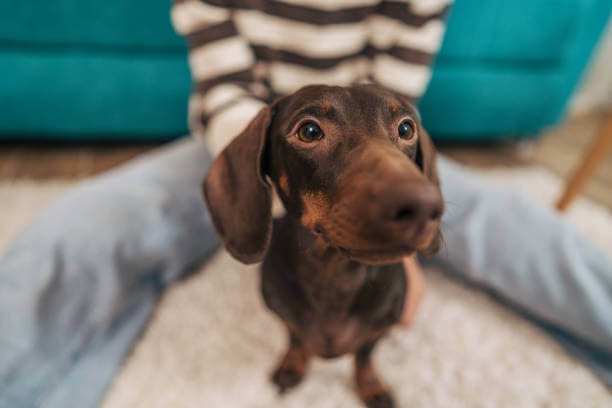 The Ultimate Guide to Ownership